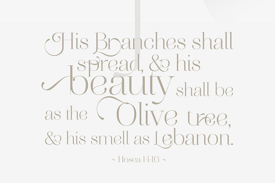 Agence de design à Paris – Paris – Image3 project2 – agence design Paris • branding