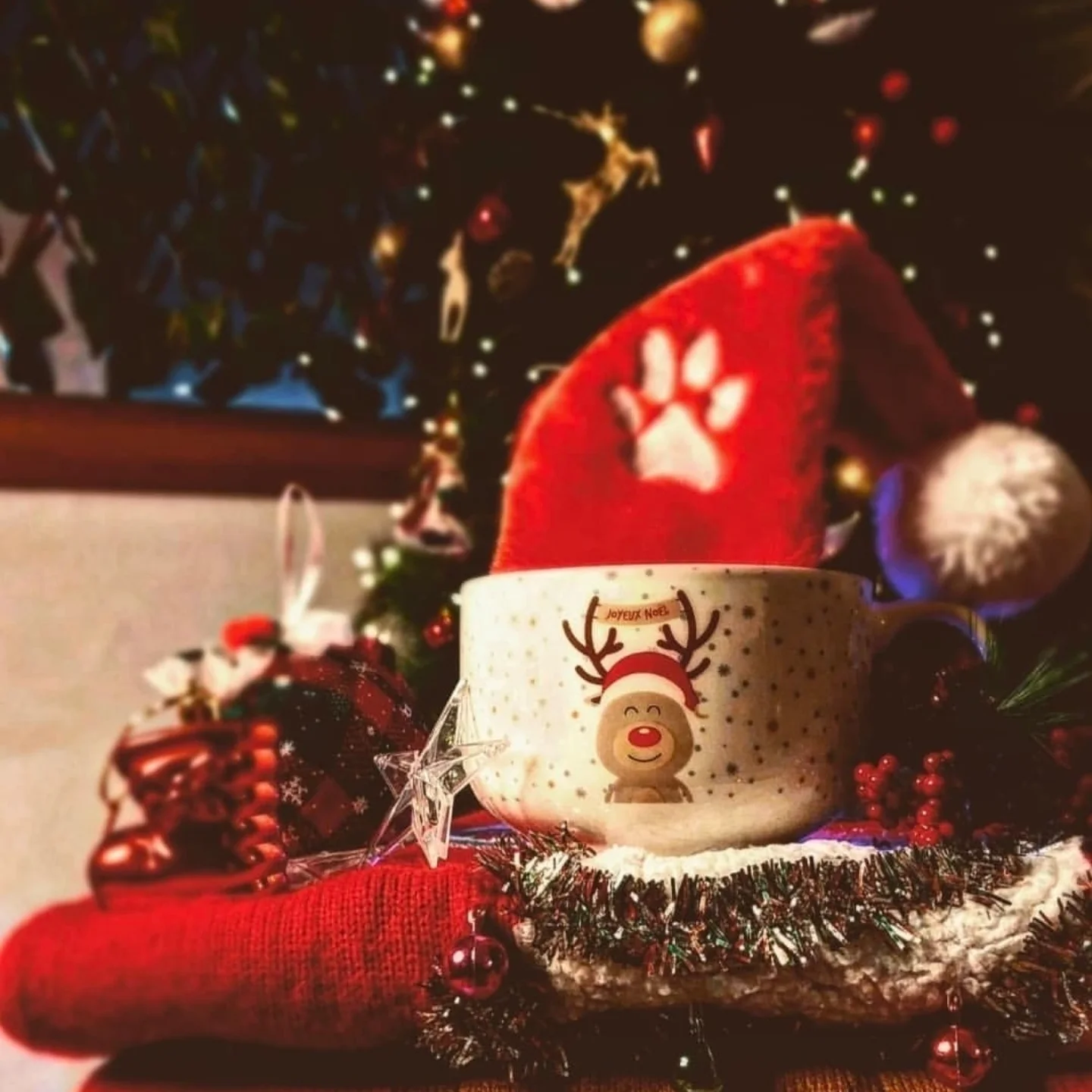 publication Instagram agence de design paris spécialisée en branding, création graphique, graphisme et packaging