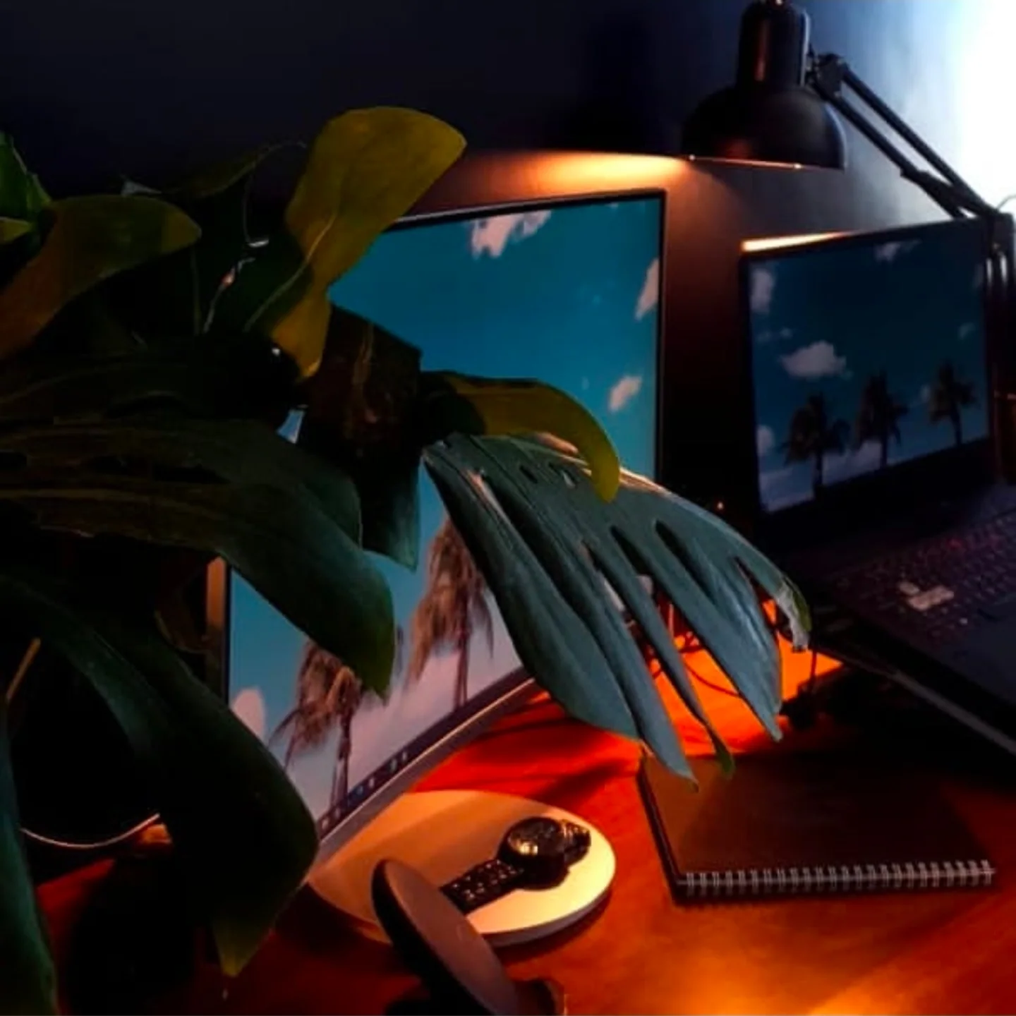 publication Instagram agence de design paris spécialisée en branding, création graphique, graphisme et packaging