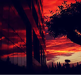 Instagram L'Alchimiste – agence de graphisme et branding Paris