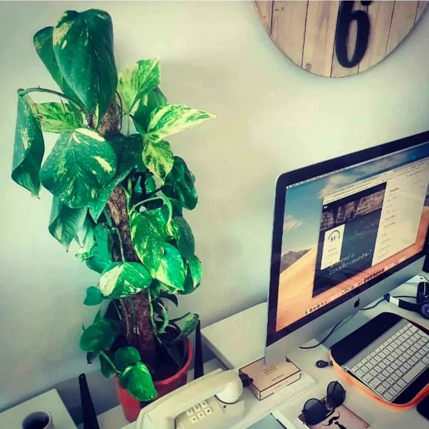 publication Instagram agence de design paris spécialisée en branding, création graphique, graphisme et packaging