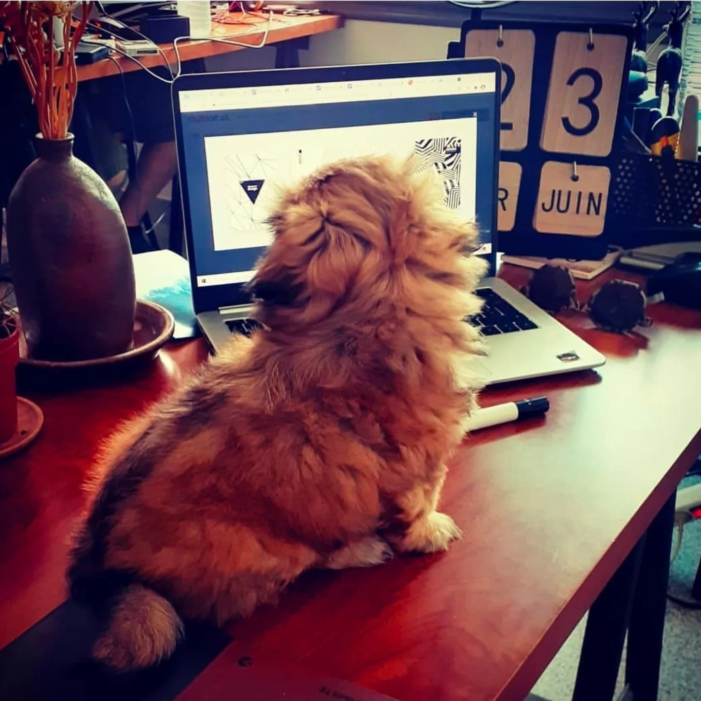 publication Instagram agence de design paris spécialisée en branding, création graphique, graphisme et packaging