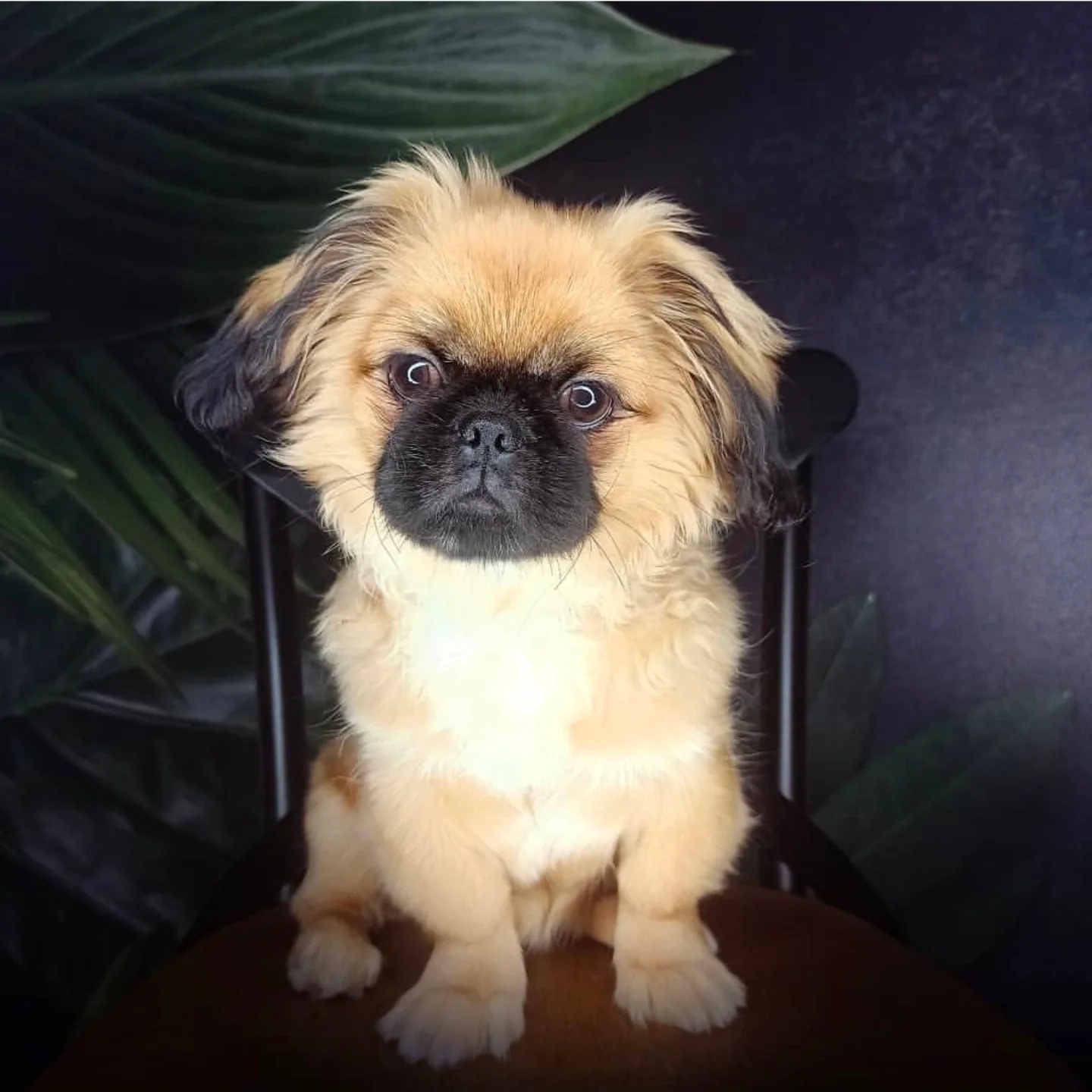 publication Instagram agence de design paris spécialisée en branding, création graphique, graphisme et packaging